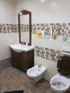 布拉索夫CASA ANTON的一间带水槽、卫生间和镜子的浴室