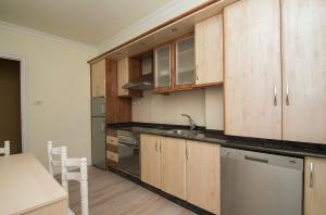 布里拉蒂卡波AMPLIO APARTAMENTO EN BURELA的厨房配有木制橱柜、水槽和洗碗机。