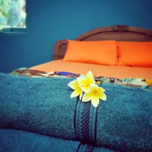 卡里蒙贾瓦L'isola che...的床上的蓝色毯子上有一朵黄色的花