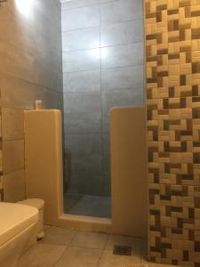 乔拉弗雷恩多斯Fanivevisgarden的浴室设有淋浴和镜子