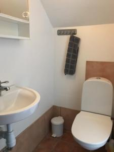 尼雪平Broby Bed & Breakfast entréplan的浴室配有白色卫生间和盥洗盆。