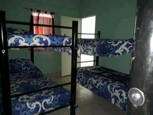 San JoséHostel Odorico的带窗户的客房内的两张双层床