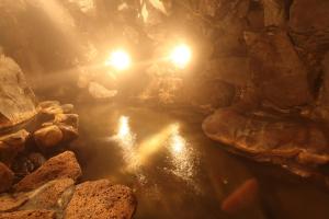 由布市志美津旅馆 的水中石块和灯光的洞穴