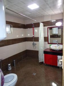 舍基Tubram S Ailəvi Qonaq Evi的一间带卫生间和水槽的浴室