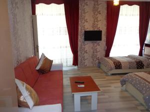 舍基Tubram S Ailəvi Qonaq Evi的客厅配有沙发和1张床
