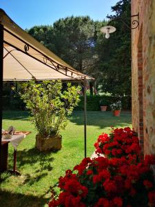蒙特普齐亚诺弗拉特里亚圣贝内代托旅馆的花园种有红色的鲜花,配有雨伞