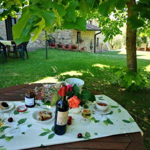 蒙特普齐亚诺弗拉特里亚圣贝内代托旅馆的一张野餐桌,包括一瓶葡萄酒和食物