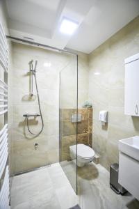 克拉多沃Miido Apartments的带淋浴、卫生间和盥洗盆的浴室