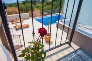 波尔Villa Nikola - big terrace apartments的花瓶里玫瑰花,在带游泳池的阳台上