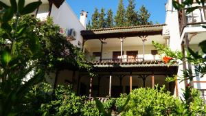 阿奇亚卡Totelya Hotel的带阳台和植物的白色房屋