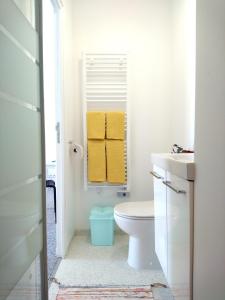里摩日Cool Places的浴室设有白色的卫生间和镜子