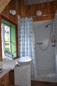 阿特湖畔努斯多夫达斯格拉芬古特酒店的带淋浴和盥洗盆的浴室
