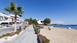 迪迪姆Seahorse Deluxe Hotel的棕榈树和人行道的沙滩