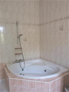 FeugarollesLE CHEMINARD的浴室设有浴缸和淋浴。