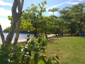 乌巴图巴Hospedagem Lagoinha的毗邻树木和水的海滩的公园
