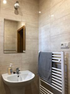 大梅杰尔Néró Apartman的一间带水槽和镜子的浴室