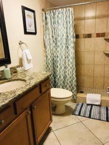 圣徒皮特海滩Treasure Island Beach, FL Waterfront Condo的浴室配有卫生间、盥洗盆和淋浴。