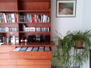 伊普尔Saillant的书架上装满两株盆栽植物的书