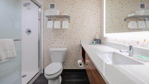 巴拿马城巴拿马城假日酒店的一间带卫生间、水槽和镜子的浴室