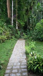 佩尼多Toca da Onça的花园中间的石径
