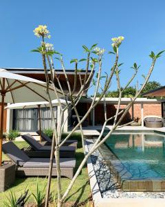 波德申Laman Villa Port Dickson的一个带游泳池和房子的后院