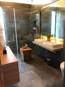 波德申Laman Villa Port Dickson的一间带水槽、淋浴和卫生间的浴室