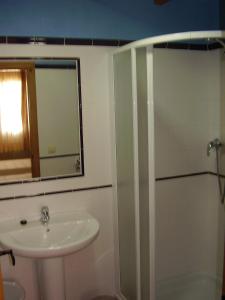 AlborgeCasa De Los Diezmos的带淋浴、盥洗盆和镜子的浴室