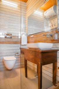 西姆拉Woodays Resort的一间带水槽和卫生间的浴室