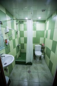 埃里温Sweet Sleep hostel的带淋浴、卫生间和盥洗盆的浴室