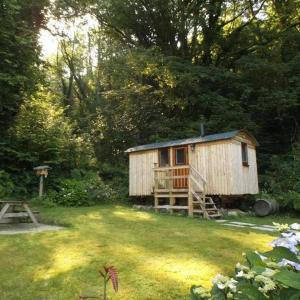 卡马森'Morris' the shepherd's hut with woodland hot tub的院子中间的小木屋