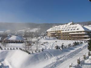 维斯瓦斯托克酒店的和一群人一起在雪地里建一座建筑