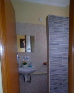 弗朗西斯敦Ntshe River Lodge的一间带水槽和镜子的浴室