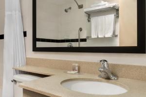 蒙克顿蒙克顿智选假日酒店及套房的一间带水槽和镜子的浴室