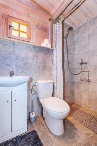 弗瓦迪斯瓦沃沃Domki DanTom的浴室配有卫生间、盥洗盆和淋浴。