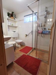 EbenthalFerienhaus Barbara的一间铺有红色地毯的带淋浴的浴室