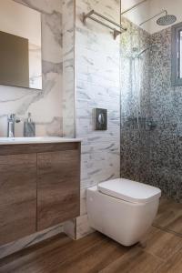 希马拉First House的浴室配有卫生间、盥洗盆和淋浴。
