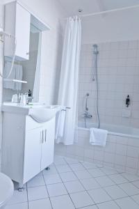 布鲁塞尔锡鲁尔酒店的白色的浴室设有水槽和淋浴。