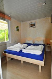 奥斯特西巴德钦诺维茨波罗的海畔度假屋的一间卧室配有一张带蓝色床单的床和一扇窗户。