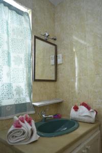 艾因代拉希姆Residence Panorama的一间带水槽和镜子的浴室