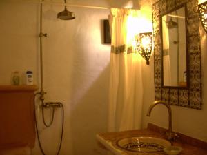 尼哈尔Hotel Rural Cortijo La Alberca的浴室配有盥洗盆和带镜子的淋浴