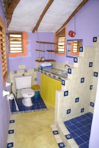 奥尔沃克斯岛卡萨瑟蕾莎酒店的一间带水槽和卫生间的浴室