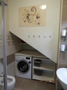 布莱德Sunlight Apartment的一间带洗衣机和卫生间的浴室