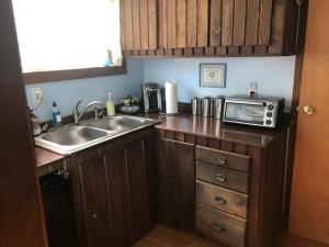HollisHollis Creek Cabin的厨房配有水槽和微波炉
