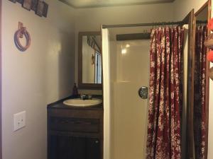 HollisHollis Creek Cabin的一间带水槽和镜子的浴室