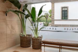 拉科鲁尼亚泽尼特拉科鲁尼亚酒店的两个放在篮子中的植物坐在窗台上