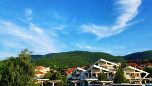 索科矿泉村Vila Simic的一座有房屋和山丘的城镇