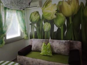 茨里克韦尼察森尼加公寓的沙发旁墙上的花壁画