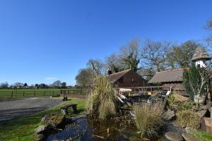 伯明翰Oak tree stables cottage的谷仓和建筑物前的池塘