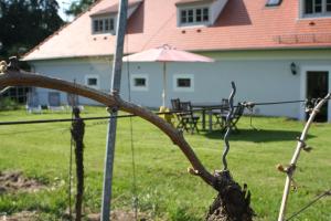 拉德博伊尔Weingut Haus Steinbach的树枝附在院子的栅栏上