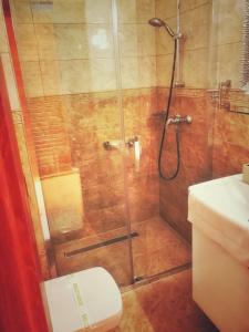 特伦钦温泉镇芳缇斯特瑞膳宿旅馆的浴室里设有玻璃门淋浴